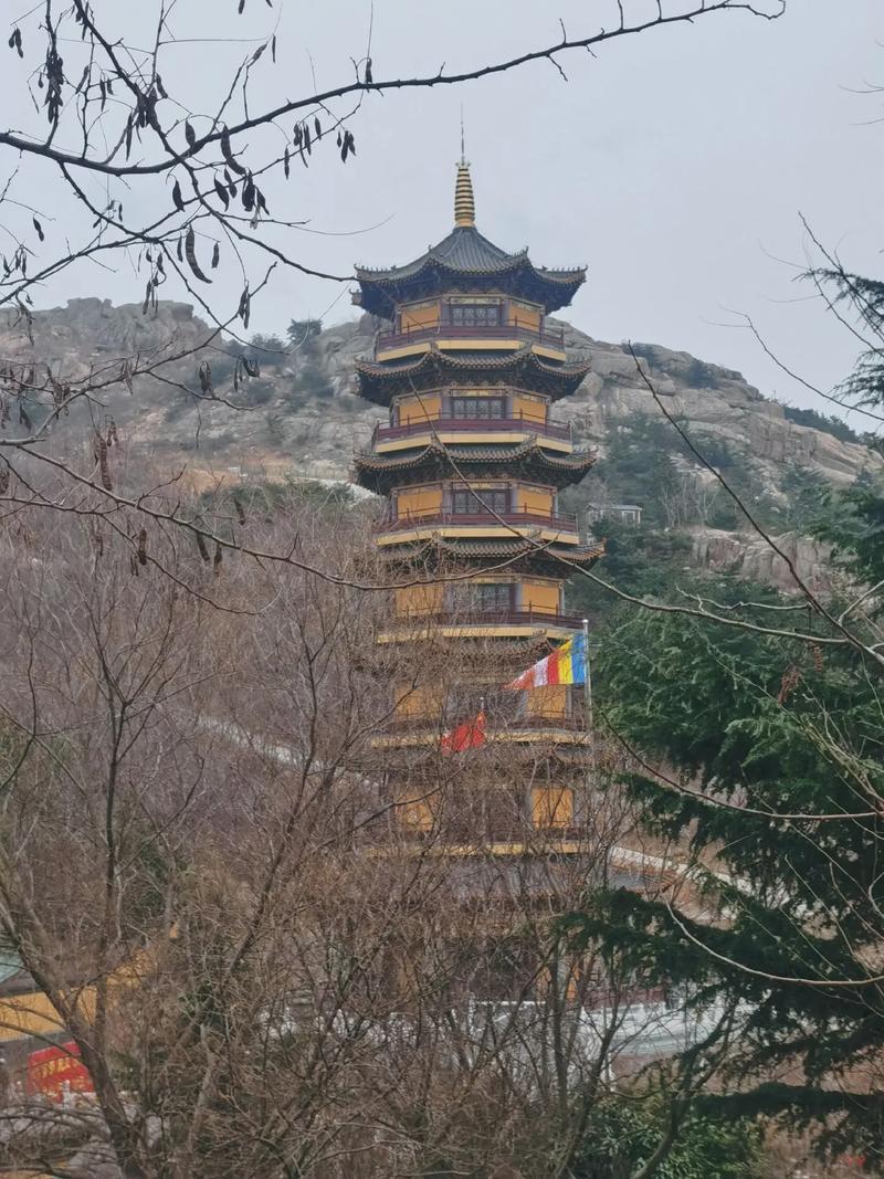 2025年12月生肖猪财运分析 2025年12月生肖猪财运分析