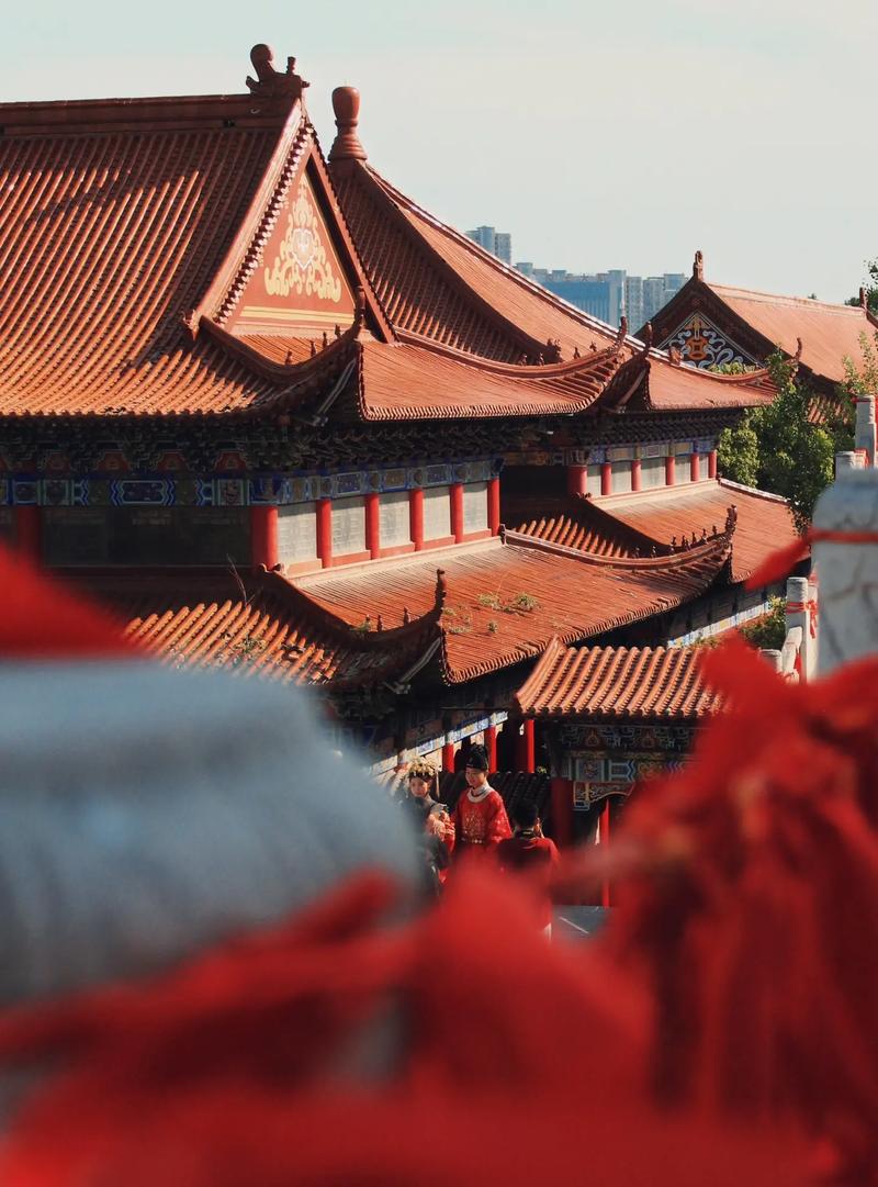 75年属兔女2025年运势及运程那几个月旺 75年属兔女2025年运势及运程那几个月旺