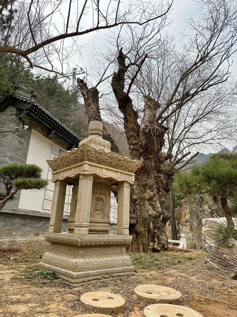 紫微斗数追禄追忌 紫微斗数追禄追忌