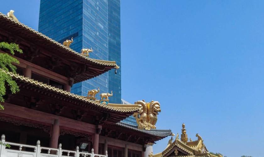 陈洁演过的所有电视剧 陈洁演过的所有电视剧