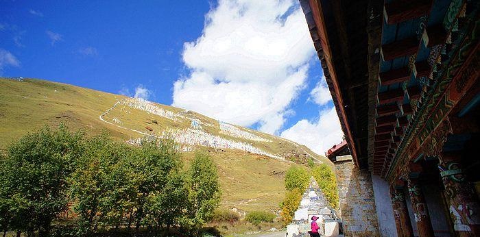 杨幂父亲评价杨幂杨幂父亲回应女儿伤势,杨 杨幂父亲评价杨幂杨幂父亲回应女儿伤势,杨