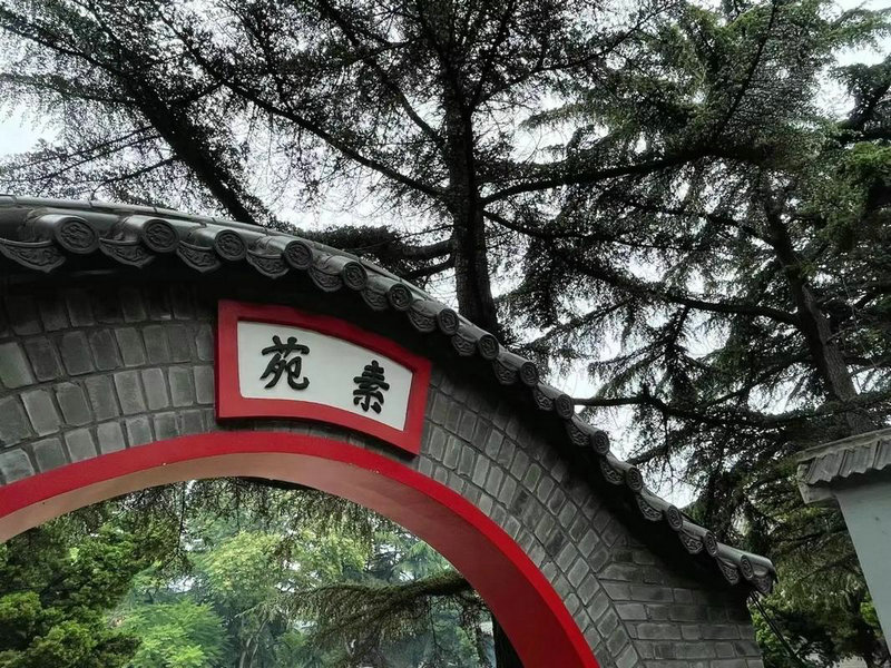 甲木和辛金婚配可好 甲木和辛金婚配可好