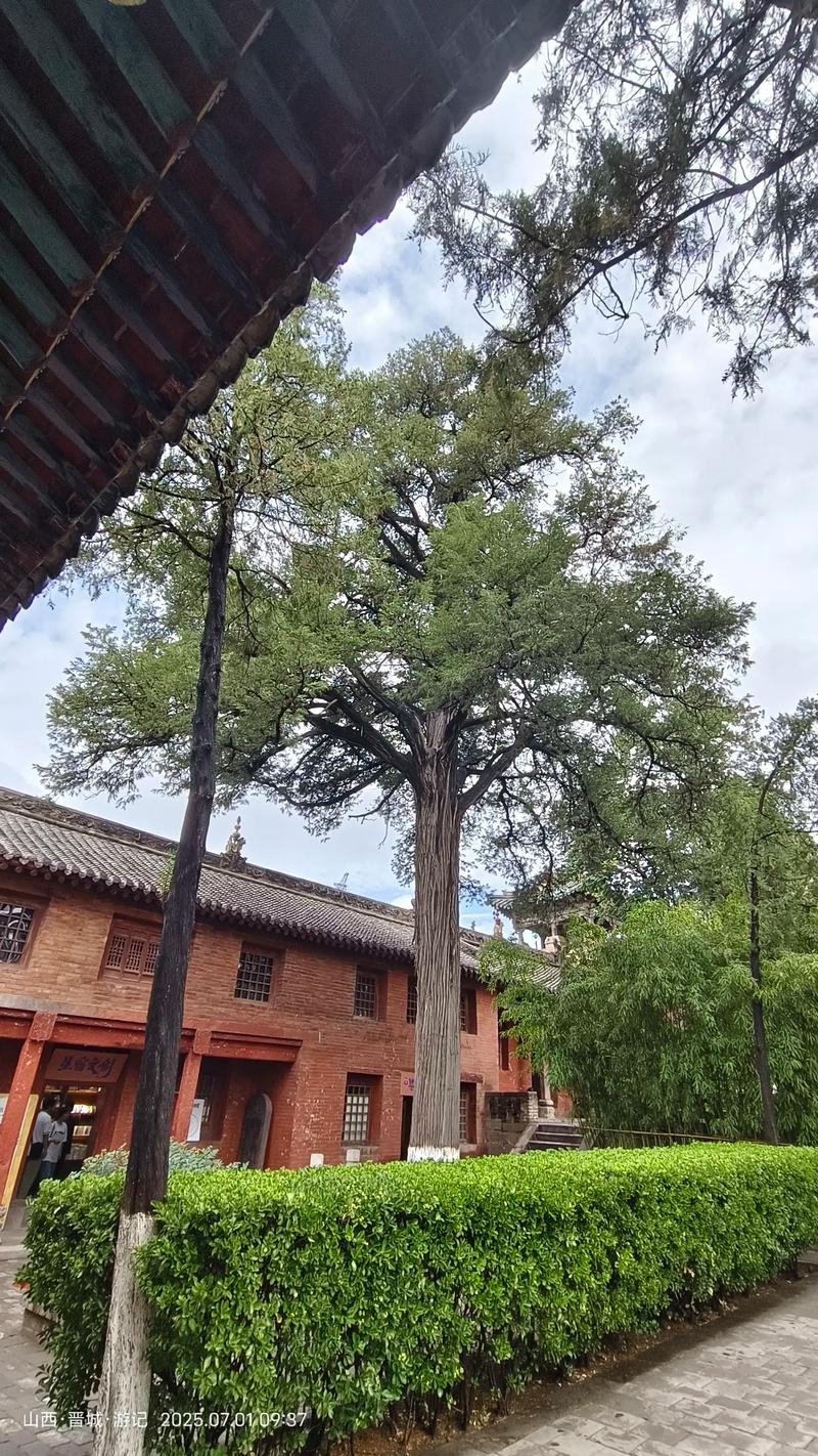 属猴李姓女宝宝取名大全 李姓猴宝宝起名100分是什么意思? 属猴李姓女宝宝取名大全 李姓猴宝宝起名100分是什么意思?