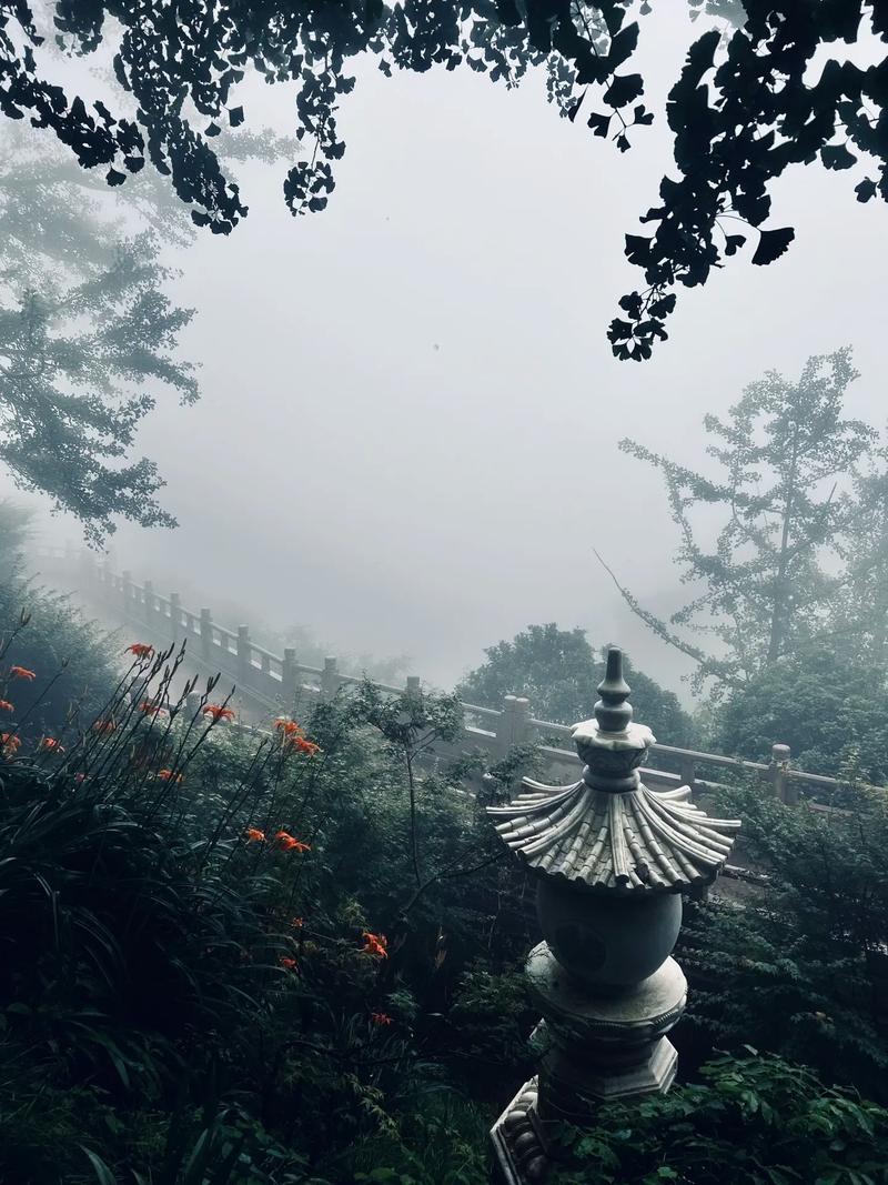 2025年11月属猪的感情运势 2025年11月属猪的感情运势