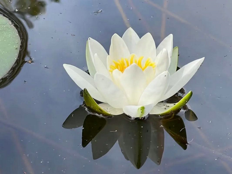 阴宅祖坟要相隔多远 阴宅祖坟要相隔多远