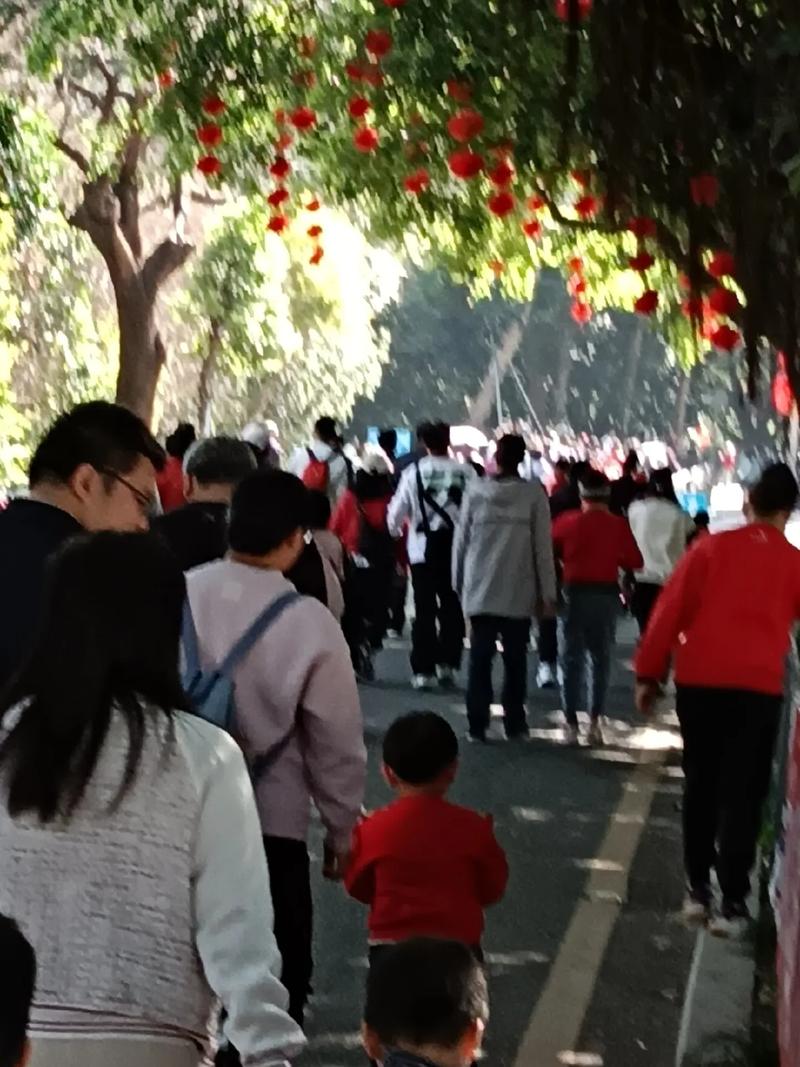 十二生肖的三合属相分别是什么,属相三合什么意思(十二生肖和谁的属相合) 十二生肖的三合属相分别是什么,属相三合什么意思(十二生肖和谁的属相合)