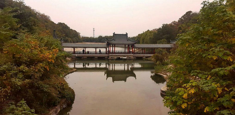 л��һ�����˼�������