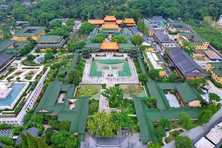 山东龙口护士 山东龙口护士税务视频播放 山东龙口护士 山东龙口护士税务视频播放