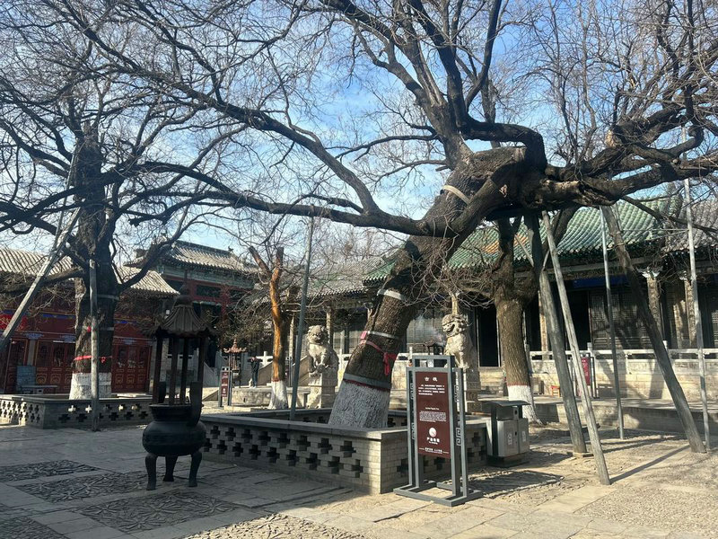 客厅风水摆设 客厅风水摆设