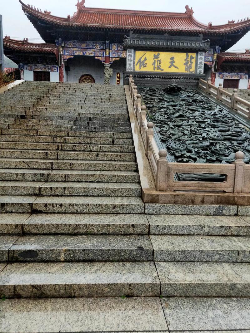 ���������(��������������)