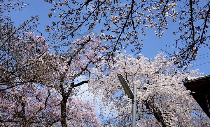 林永健第十三届北京电影节 林永健第十三届北京电影节