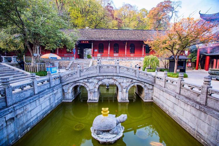 ������Ů����������