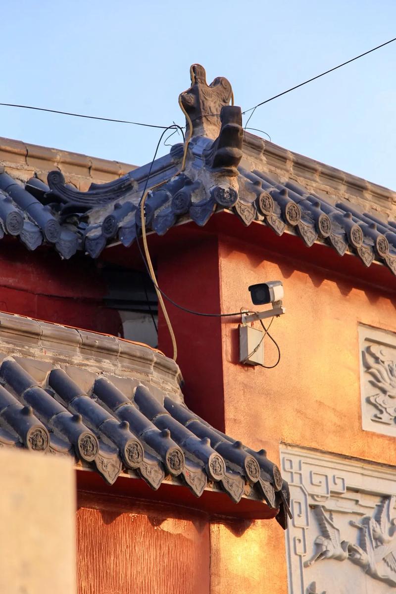 ҵǰ12ʲôʨձ˶ϲʲô9ʲôʲôǿ֢(ҵǰ2)