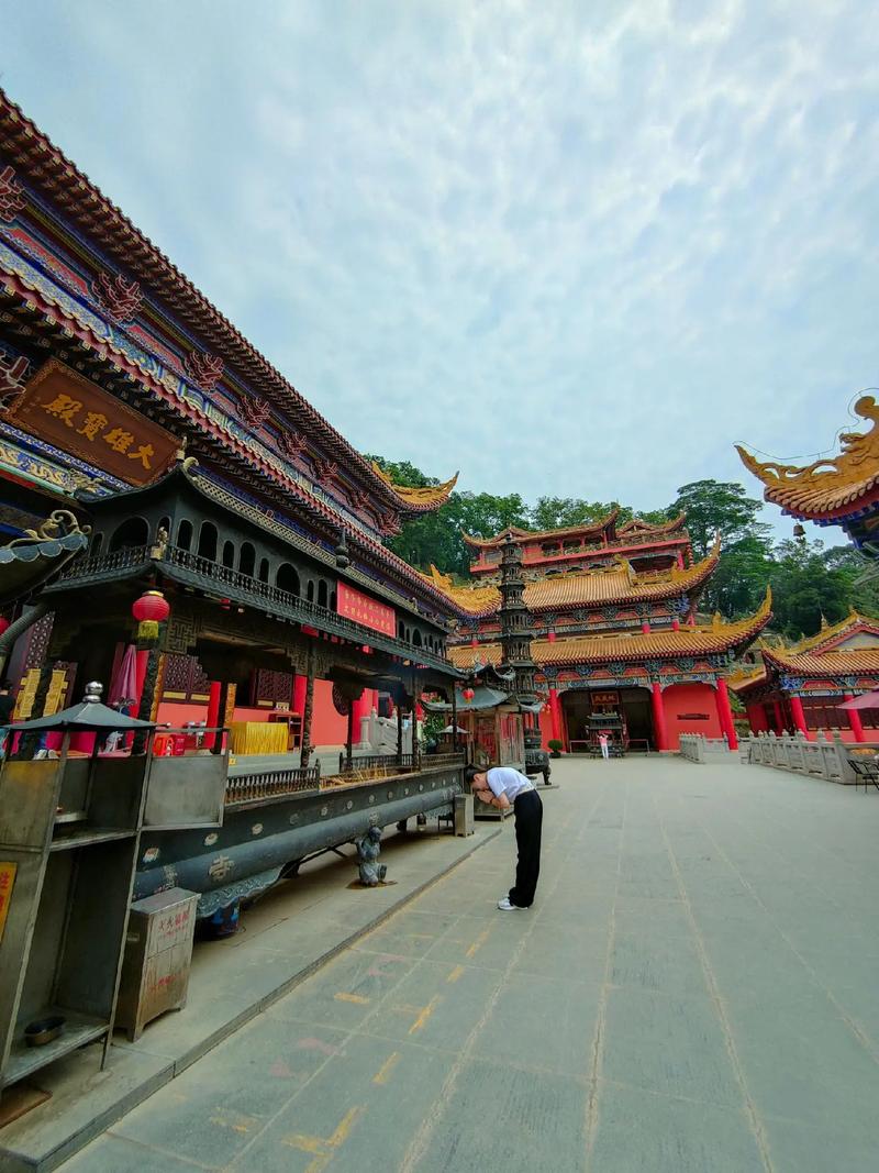 属羊人2025年全年运程分析 属羊人2025年全年运程分析