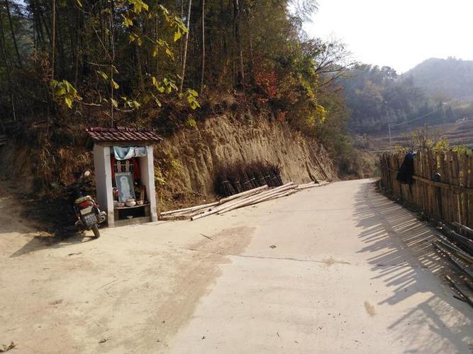 属蛇2016年11月运程解析 属蛇2016年11月运程解析