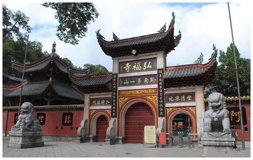 文章马伊什么时候离婚 文章马伊什么时候离婚