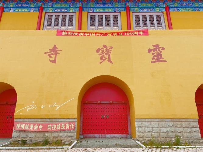 梦见一只大黄狗 女人梦见狗的征兆 梦见一只大黄狗 女人梦见狗的征兆