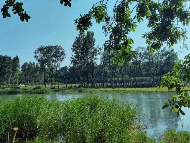 紫微斗数有格局无格局 紫微斗数有格局无格局