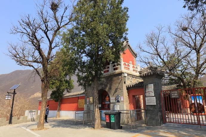 流金岁月演员表2025 流金岁月演员表2025