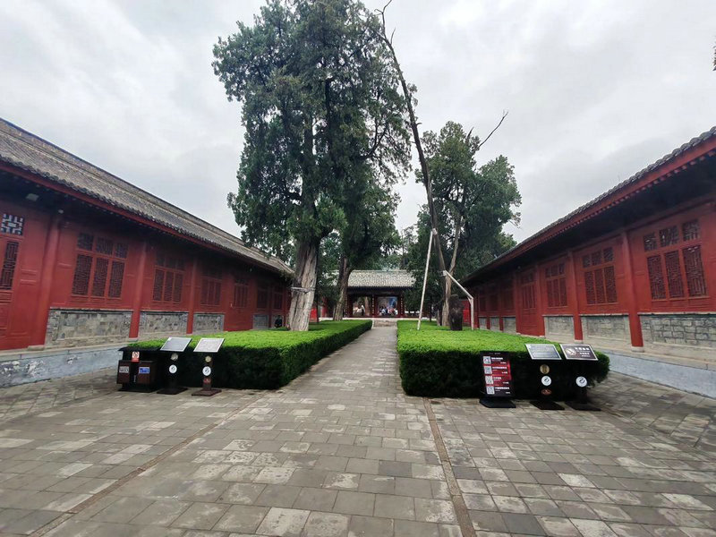 2025年姻缘大好的生肖 2025年姻缘大好的生肖