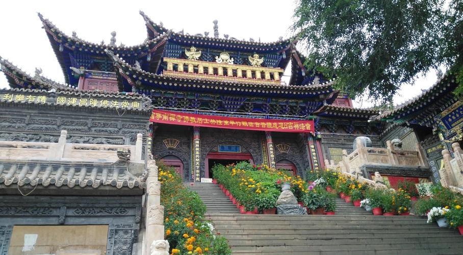 �㶫���������� �㶫������������Ƶ