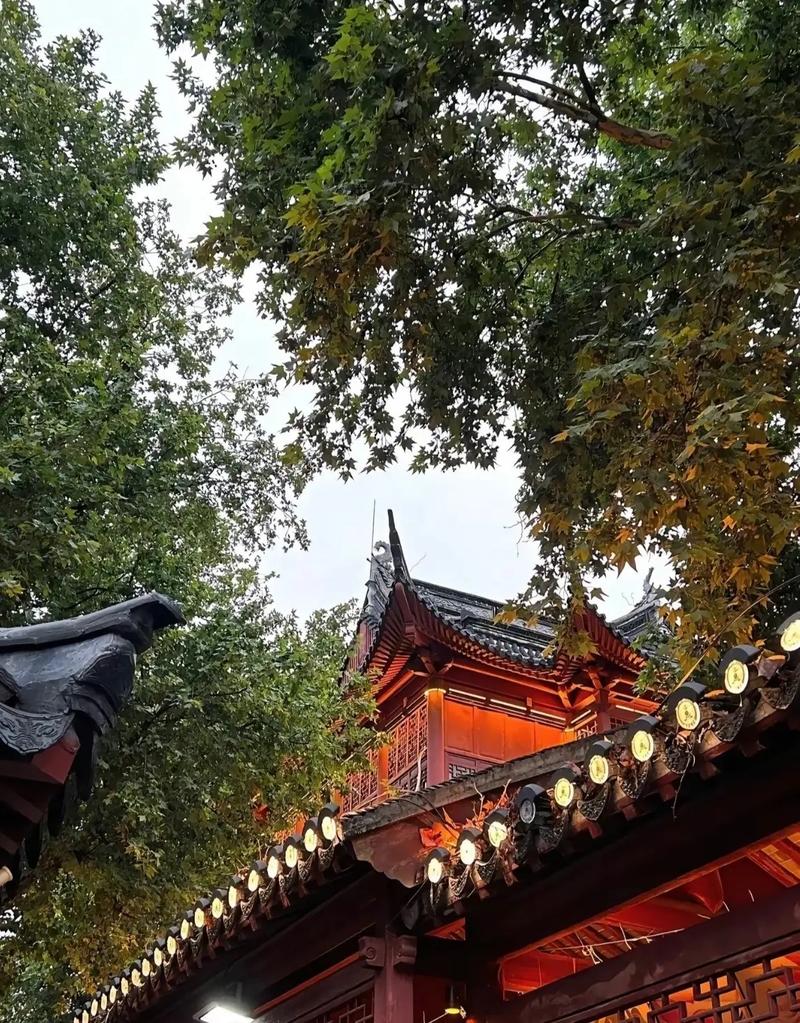 Ƿܰڱ仯Ļлϲ븣(Ƿܰ