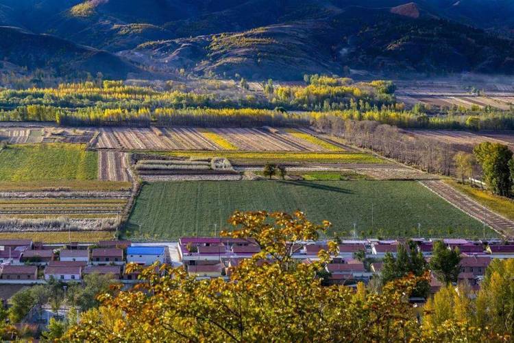 ֵı˳ǷӰδչֵĸߵ(ܷʾָߵ͵)