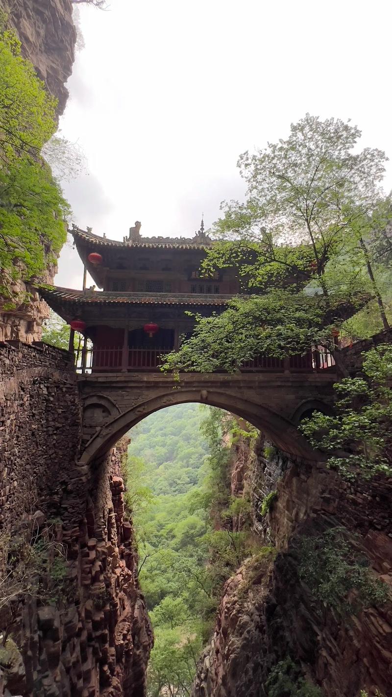 怎么判断阴宅里有蚂蚁窝 怎么判断阴宅里有蚂蚁窝