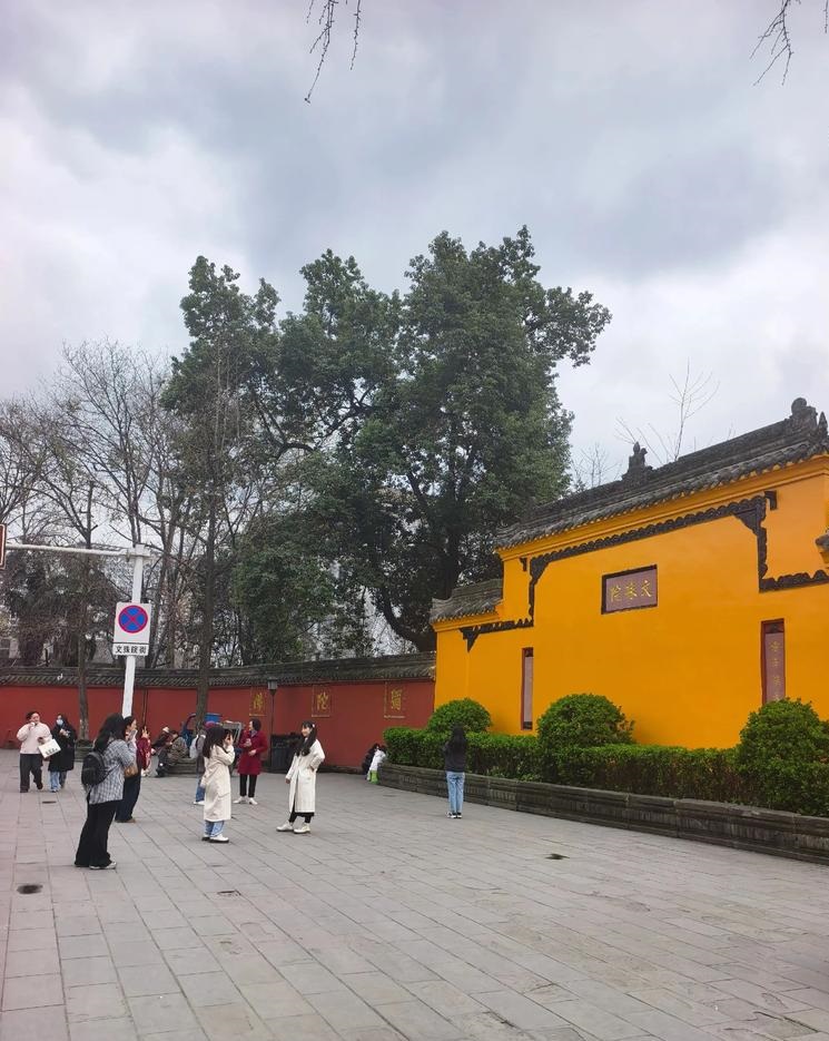 2025��ũ��4���ᳵ���ղ�ѯ ũ��4���ļ�������ᳵ