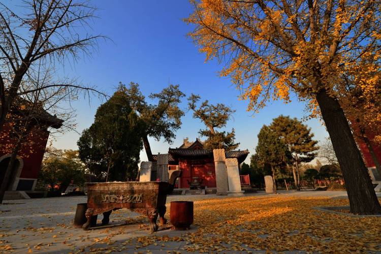 xŮ�ع����Ӿ�xŮ�ع����Ӿ�ȫ�����