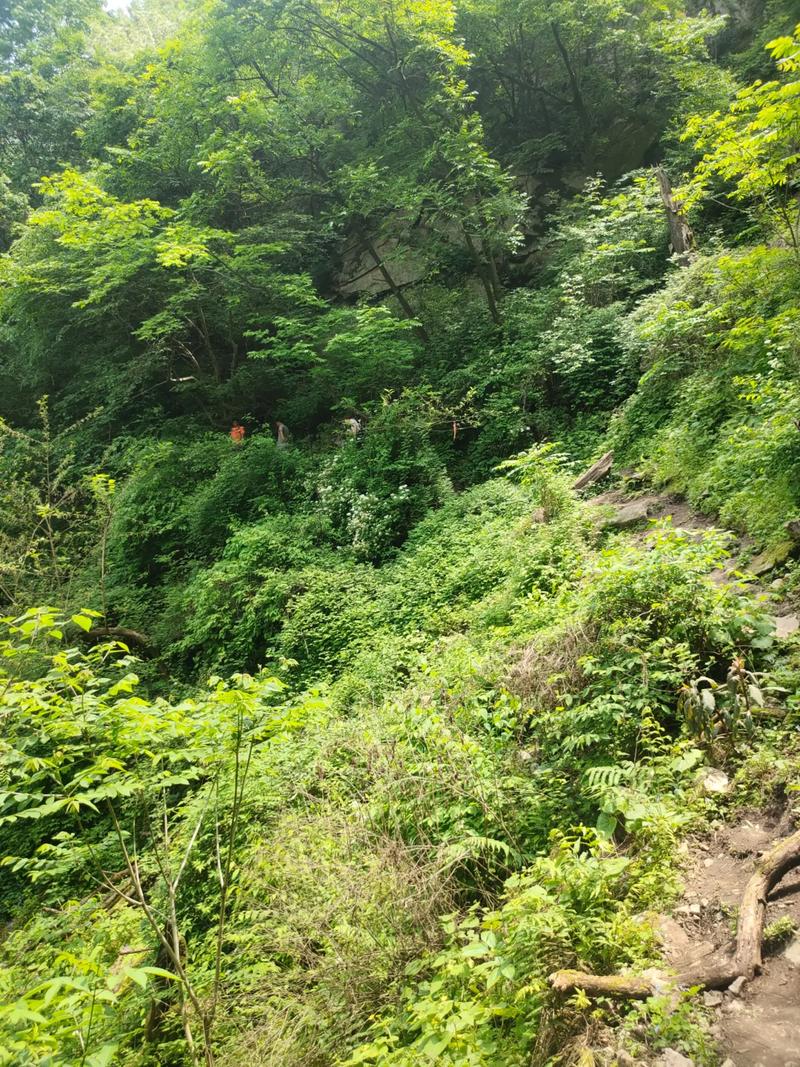 土灶吉凶 灶的吉凶及讲解 土灶吉凶 灶的吉凶及讲解