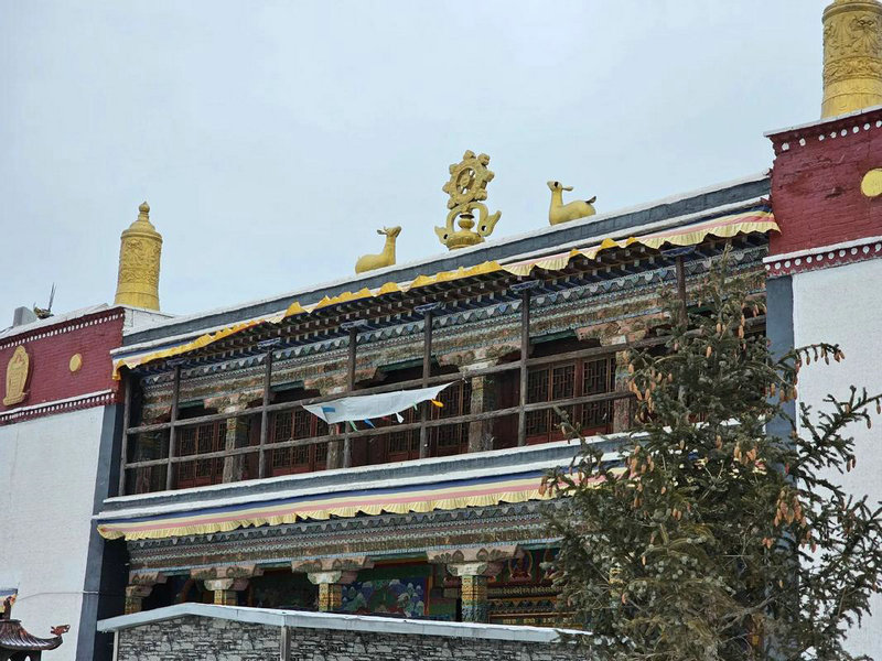 �д� 2025���״�ˮ�� 12��������ָ�Ͽ�����