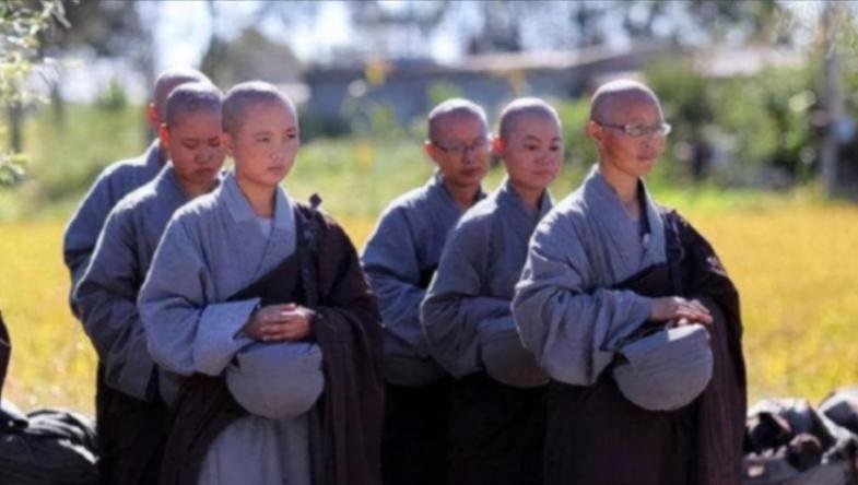 十二生肖运势2025年马讲解 2025十二生肖马运势完整版是什么意思 十二生肖运势2025年马讲解 2025十二生肖马运势完整版是什么意思