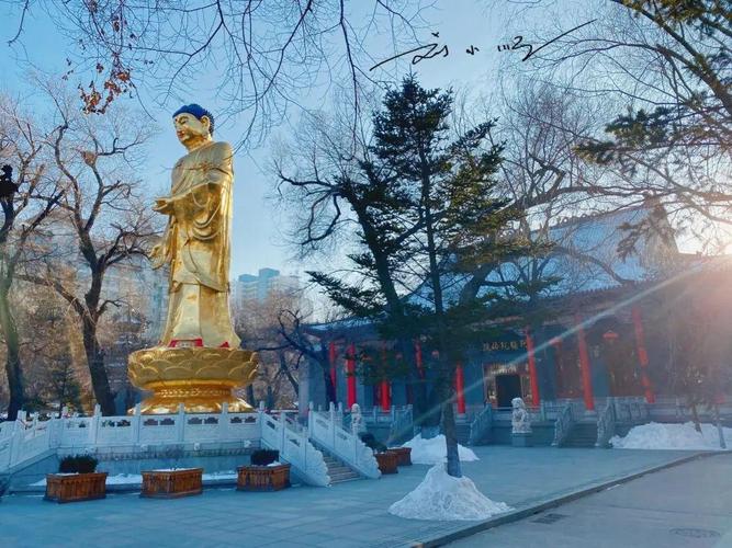 庚寅年中如何进行吉凶选车牌以免给自己带来不必要的烦恼和困扰呢 庚寅年中如何进行吉凶选车牌以免给自己带来不必要的烦恼和困扰呢