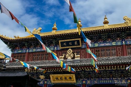 �ڱ�����׷�������ܾ���