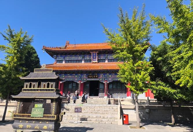 张紫妍事件的结果被迫结扎“招待客人”100多 张紫妍事件的结果被迫结扎“招待客人”100多