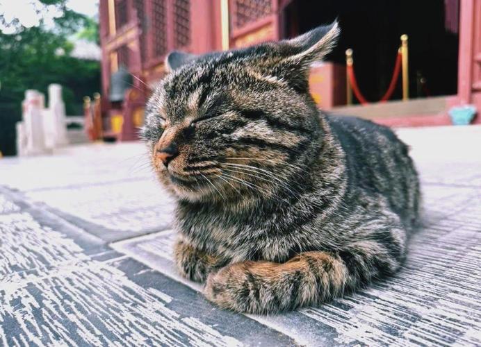 5月6日金牛座座女性格 5月17号的金牛女性格怎样 5月6日金牛座座女性格 5月17号的金牛女性格怎样