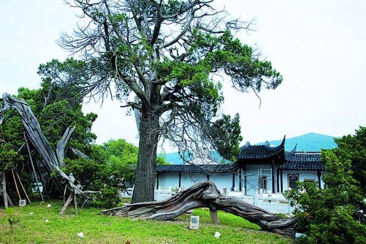 陈浩民济公(陈浩民济公一共拍了几部) 陈浩民济公(陈浩民济公一共拍了几部)