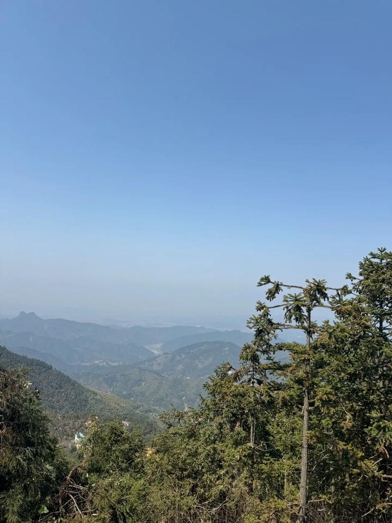 lisa为什么是重组家庭 lisa为什么是重组家庭