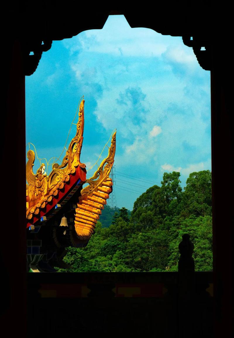 女人属虎男人属龙婚姻如何 属龙的能戴虎饰物吗是什么意思? 女人属虎男人属龙婚姻如何 属龙的能戴虎饰物吗是什么意思?