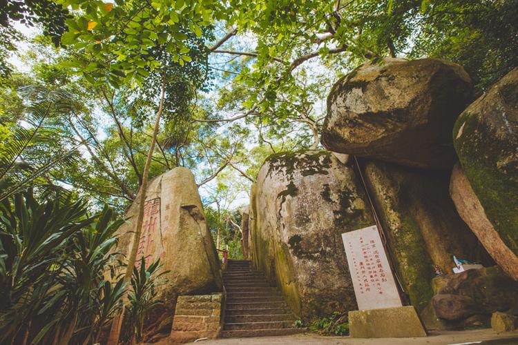 演员刘露演过什么电视剧 演员刘露演过什么电视剧