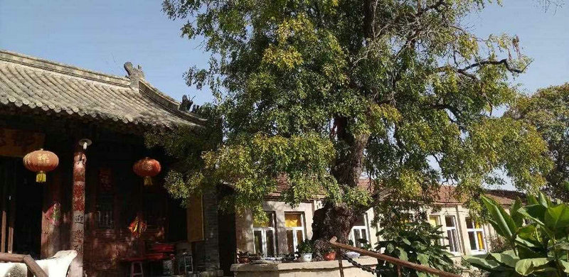 个性好听美容美发用品店名字大全 好听时尚美容美发用品店起名 个性好听美容美发用品店名字大全 好听时尚美容美发用品店起名
