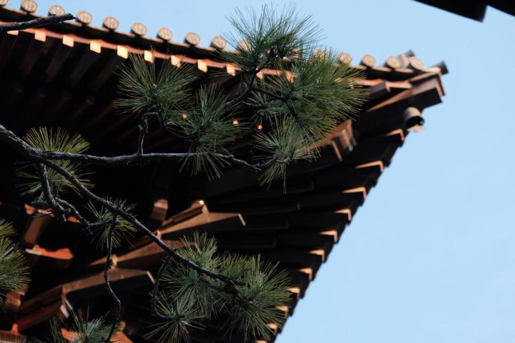 天秤男喜欢你的暗示 天秤男喜欢你的暗示