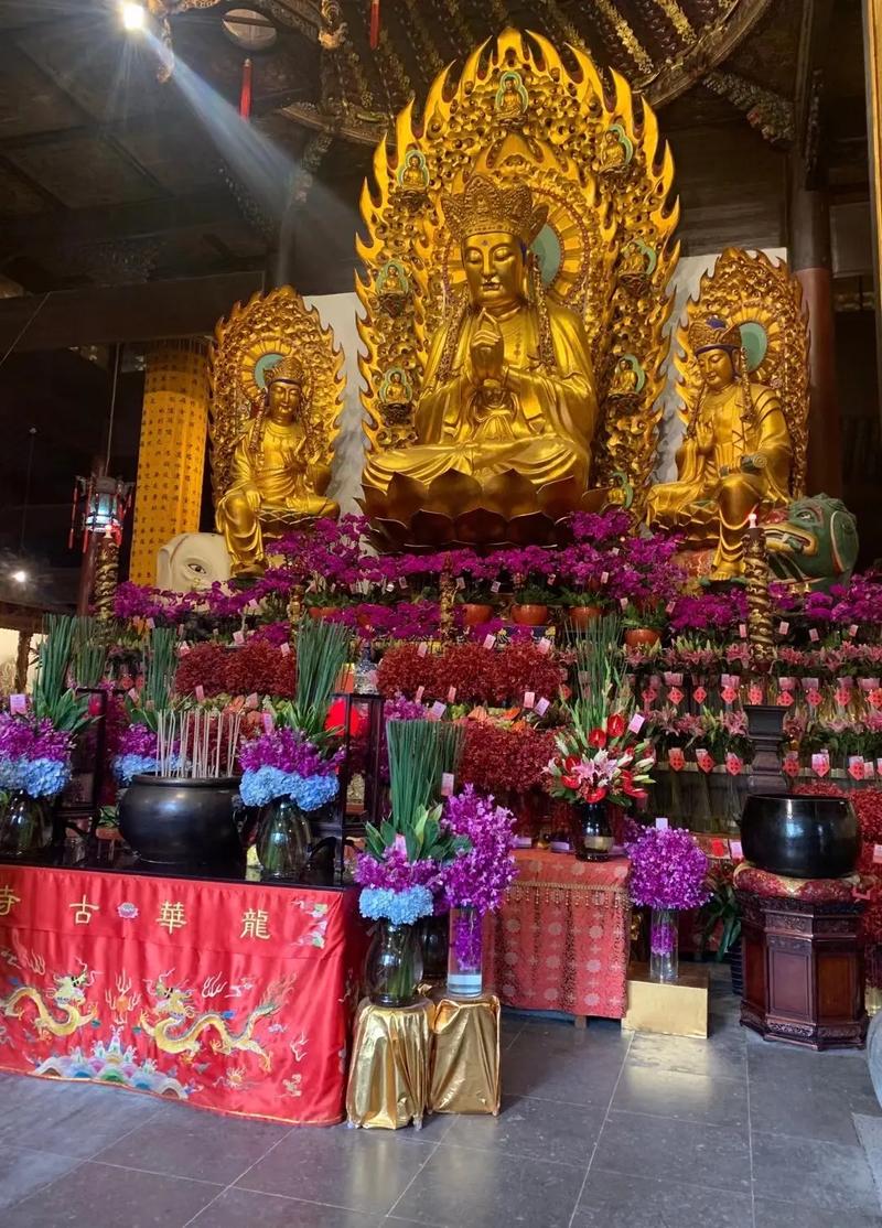 王阳家境很好_王阳的妻子是谁 王阳家境很好_王阳的妻子是谁