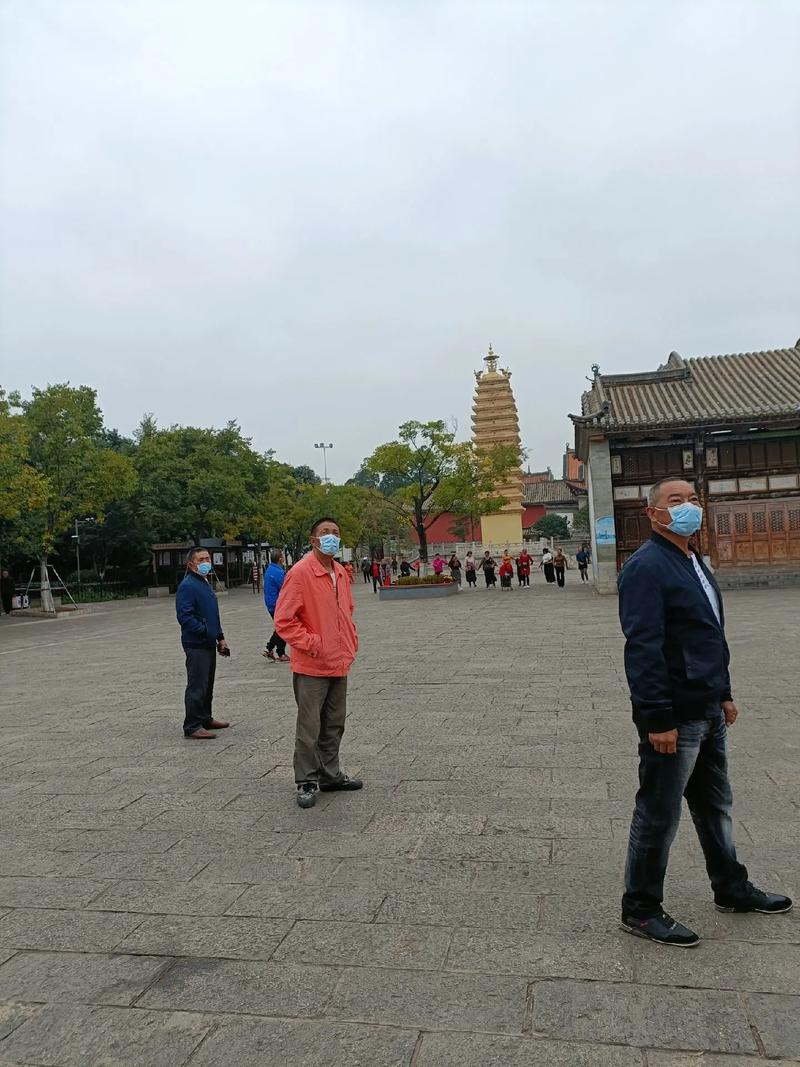 犯太岁避忌如何影响生肖狗的感情发展与失落(犯太岁避忌是否真的影响生肖狗的感情状态) 犯太岁避忌如何影响生肖狗的感情发展与失落(犯太岁避忌是否真的影响生肖狗的感情状态)