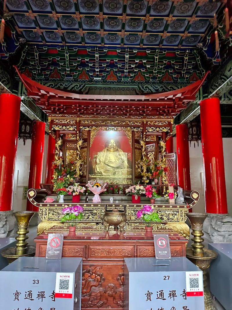 ��΢������Ů����������