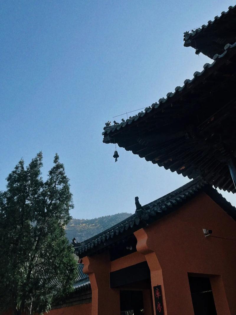 女排中国对意大利直播 女排中国对意大利直播