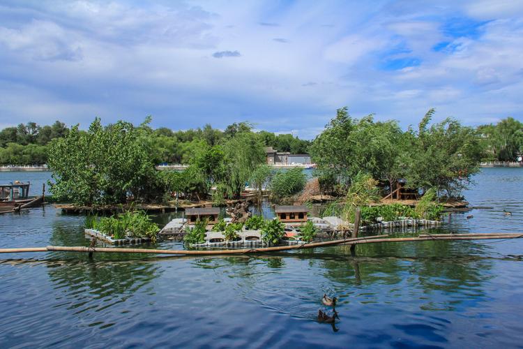 张碧晨惊艳相片张碧晨为秀腰,故意在裙子上 张碧晨惊艳相片张碧晨为秀腰,故意在裙子上