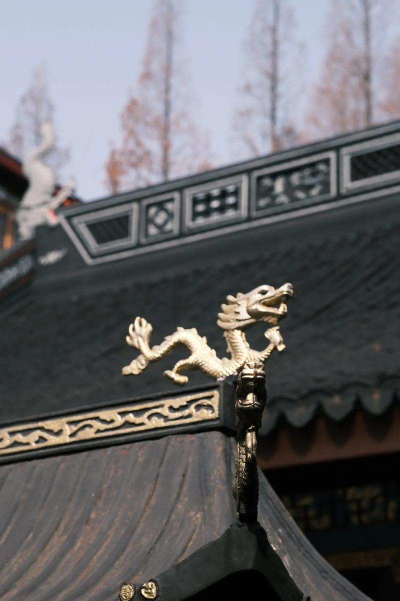 眼圈发黑凹陷面相女 眼圈发黑凹陷面相女