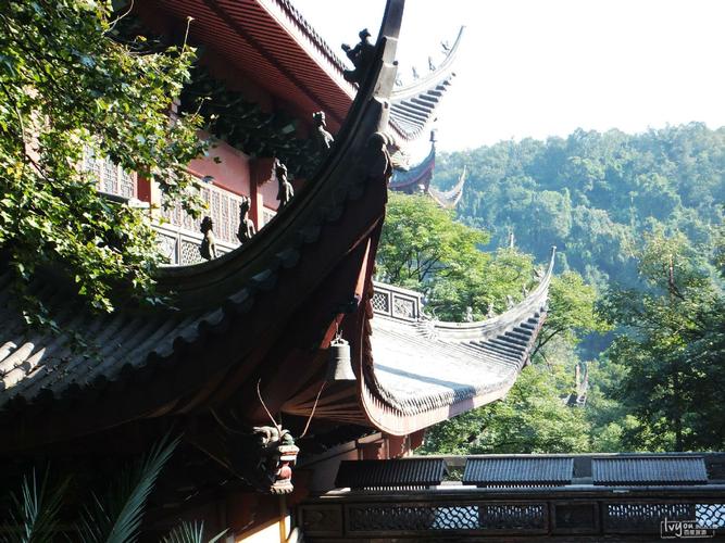 张怡宁的父母是干什么的 张怡宁的父母是干什么的